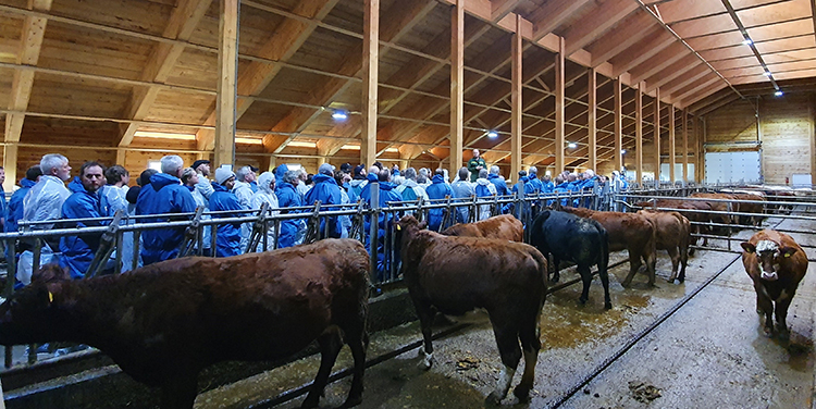 Befaring i det nye fjøset til Terje Birkeland var en del av seminaret Landbruksbygg i tre den 21. januar.