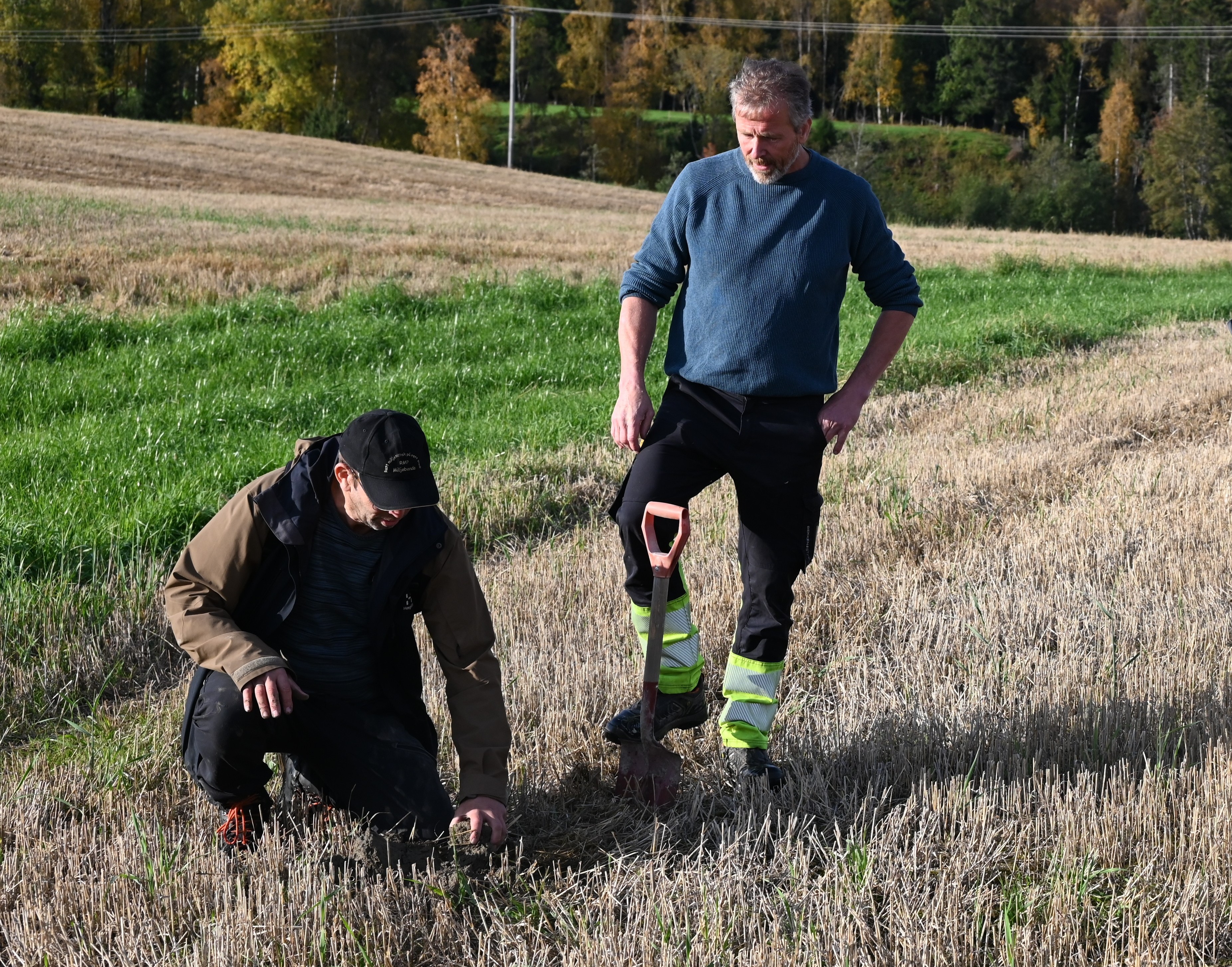 Fylkesagronom Anders Mona (til venstre) på besøk hos gårdbruker Svein Olav Benum i Beitstad som har erfaring med både "grasdekte vannveier" og grønt plantedekke. Foto: S. Ledang / Statsforvalteren i Trøndelag