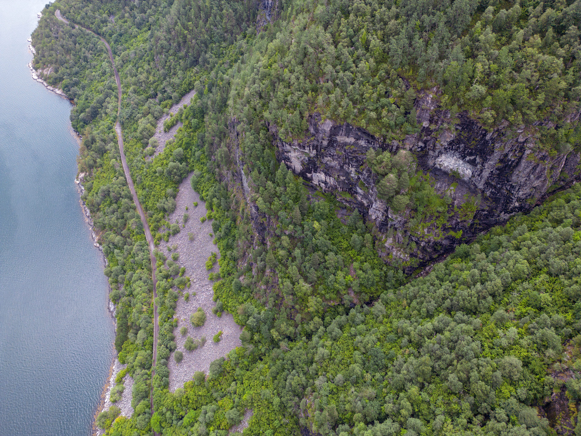 Flyfoto av ei bratt fjellside dekt av skog. Fjellsida går ned mot sjøen og ein veg snor seg langsmed sjøen.