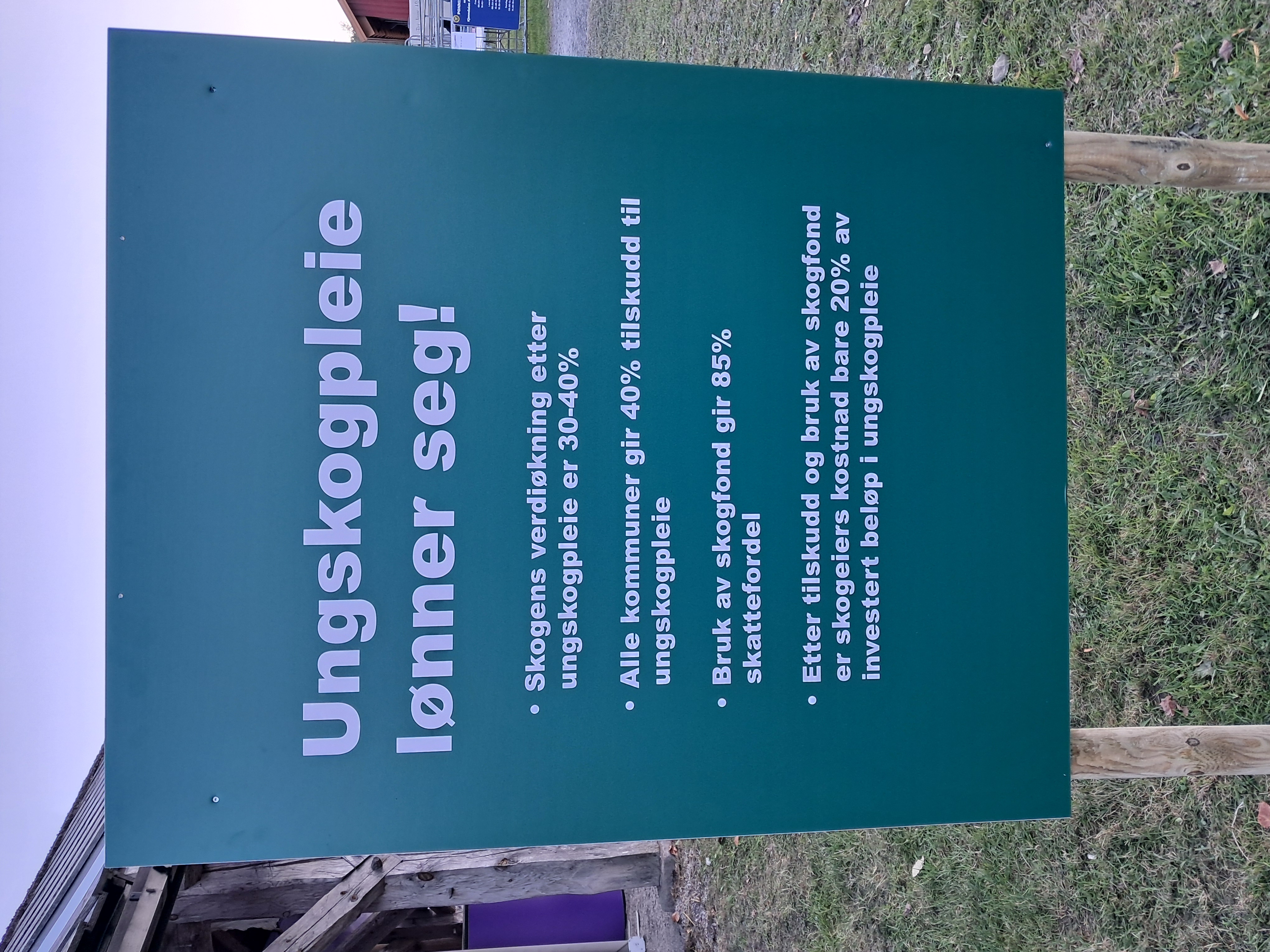 Plakat med skrift hvor det står hvorfor ungskogpleie lønner seg