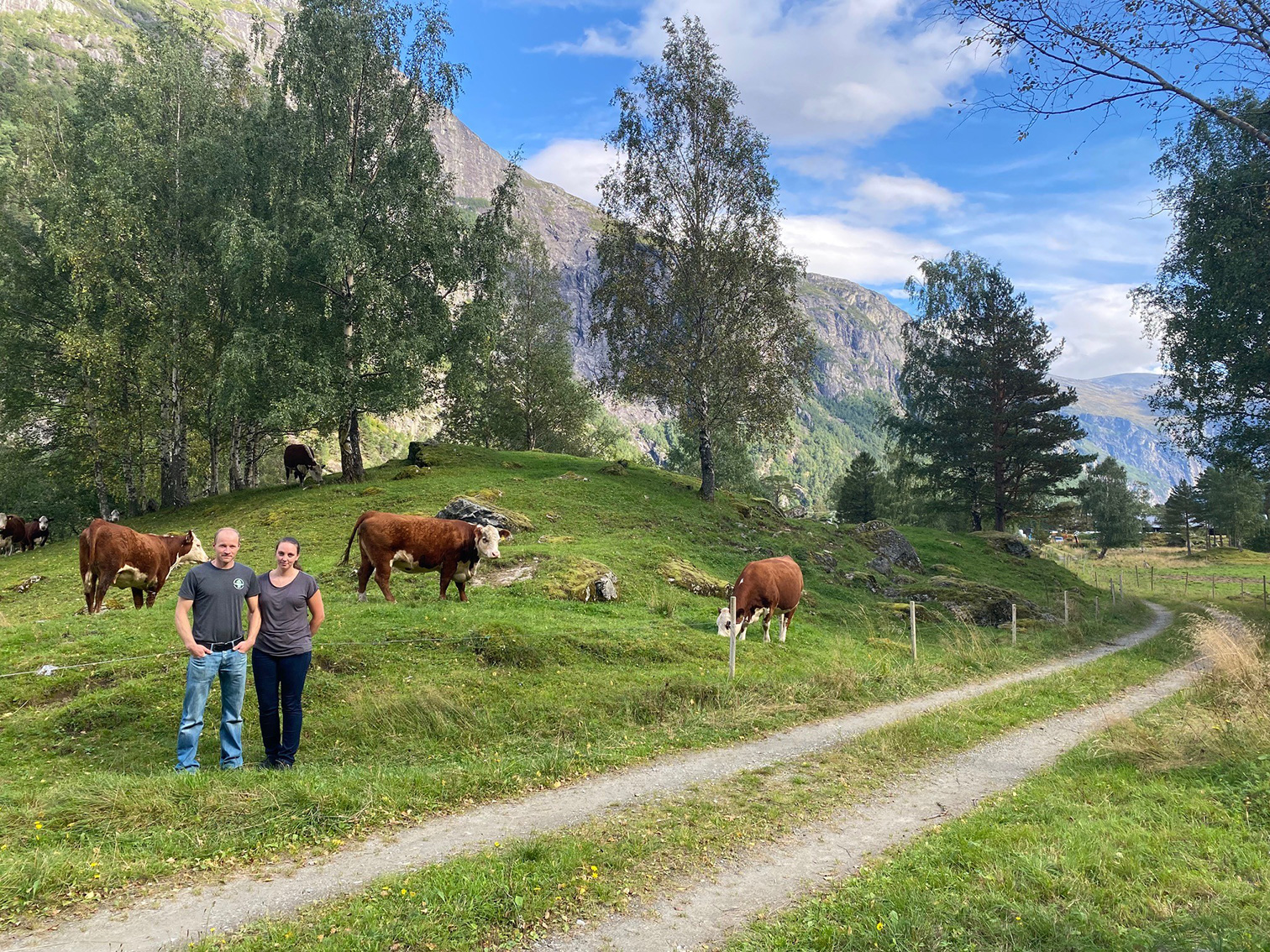 Kyrne på Remmem beiter i inn- og utmark heile sommaren. Foto: Foto: Statsforvaltaren i Møre og Romsdal, Marie Teigland. Marius Remmem og Linn Kristin Hestad står ved ein traktorveg. Bak dei går fleire kyr og beiter på grønt gras. Tre og fjell i bakgrunnen.