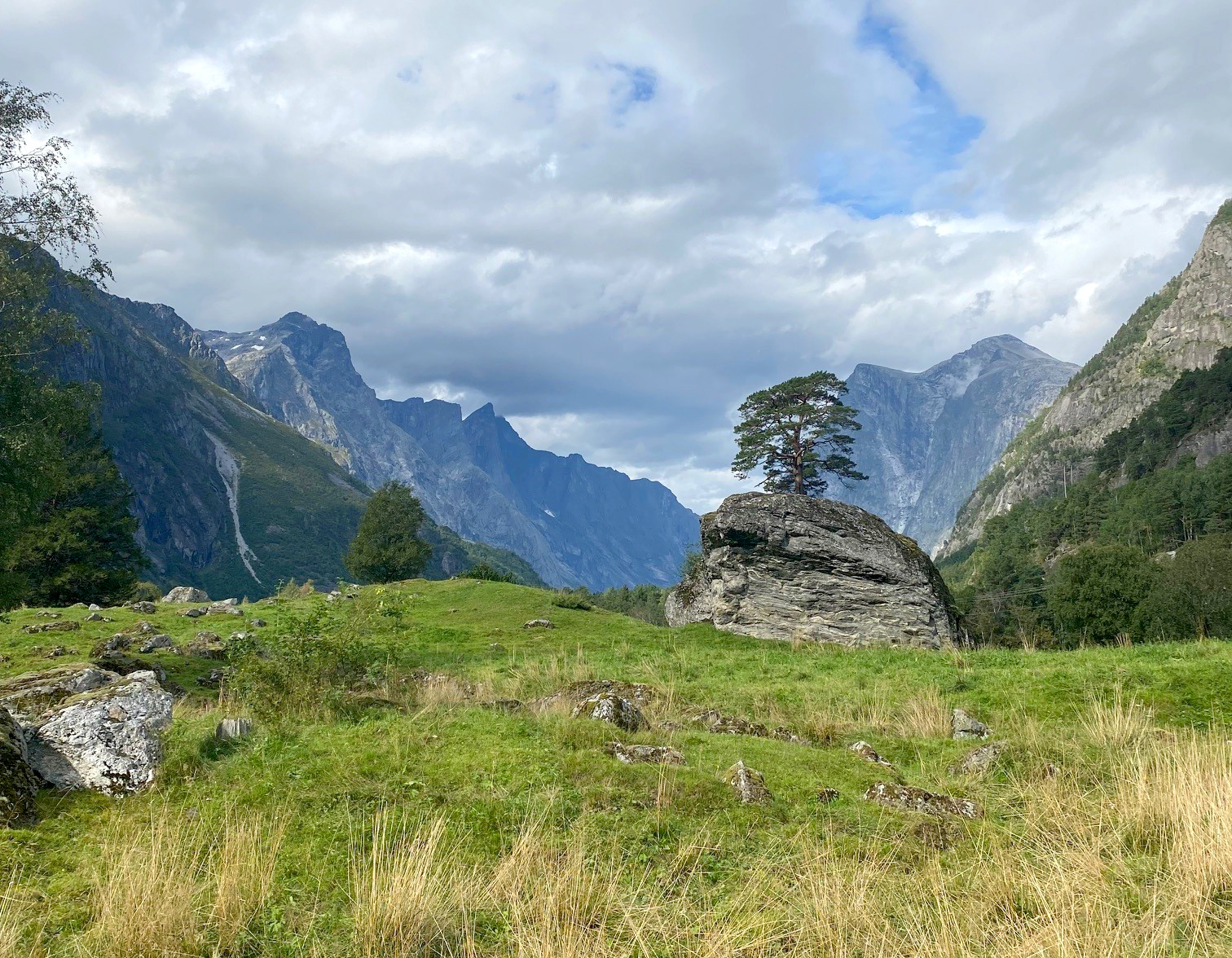 Kulturlandskapet i Romsdalen er variert.
Foto: Foto: Statsforvaltaren i Møre og Romsdal, Marie Teigland. Ein grøn, kupert eng med store steinar. Høge fjell i bakgrunnen.