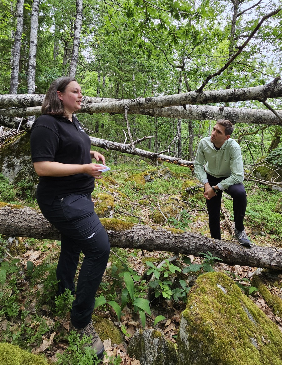 Eleanor M. Charnock fra Statsforvalteren i Agder forteller statsråd Bjelland Eriksen om verneverdier i Morkheia naturreservat Foto: Arild Pfaff, Statens naturoppsyn. Eleanor M. Charnock fra Statsforvalteren i Agder forteller statsråd Bjelland Eriksen om verneverdier i Morkheia naturreservat