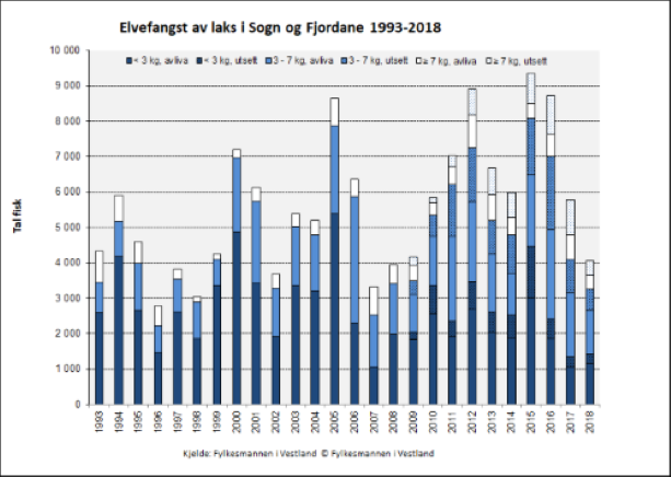 Figur 3. Elvefangst av laks i Sogn og Fjordane frå 1993 til 2018 fordelt på storleiksklassar. Frå 1993 er laksefangsten fordelt på tre storleiksgrupper, og frå 2009 er også gjenutsett fisk inkludert.