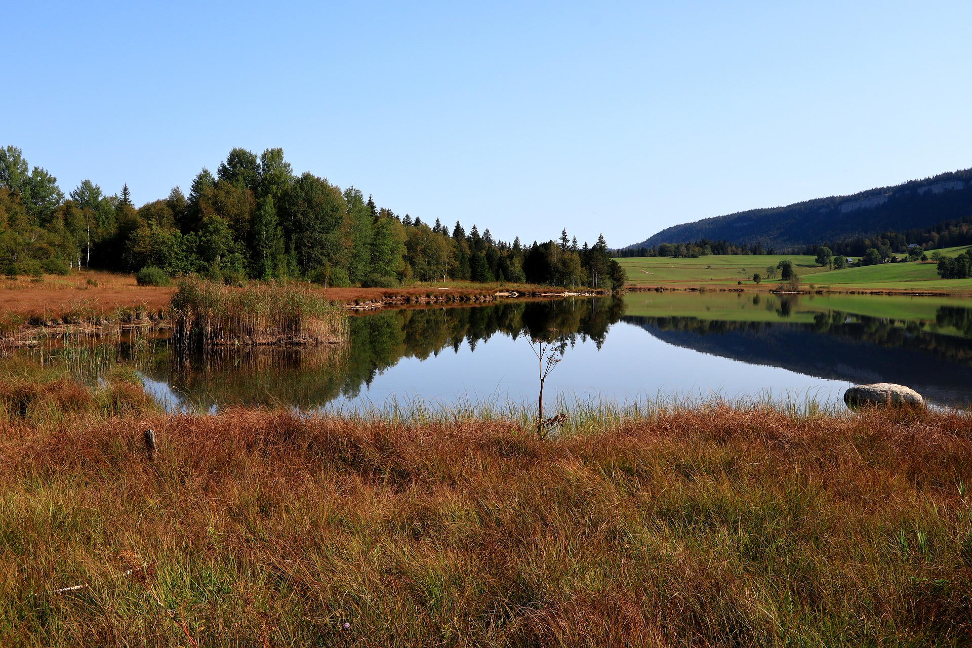 Våtmark.