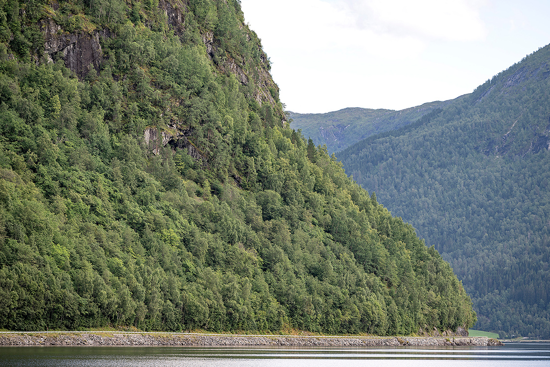 Bratt fjellside dekt av skog med ein bilveg og eit vatn i botnen av fjellsida.