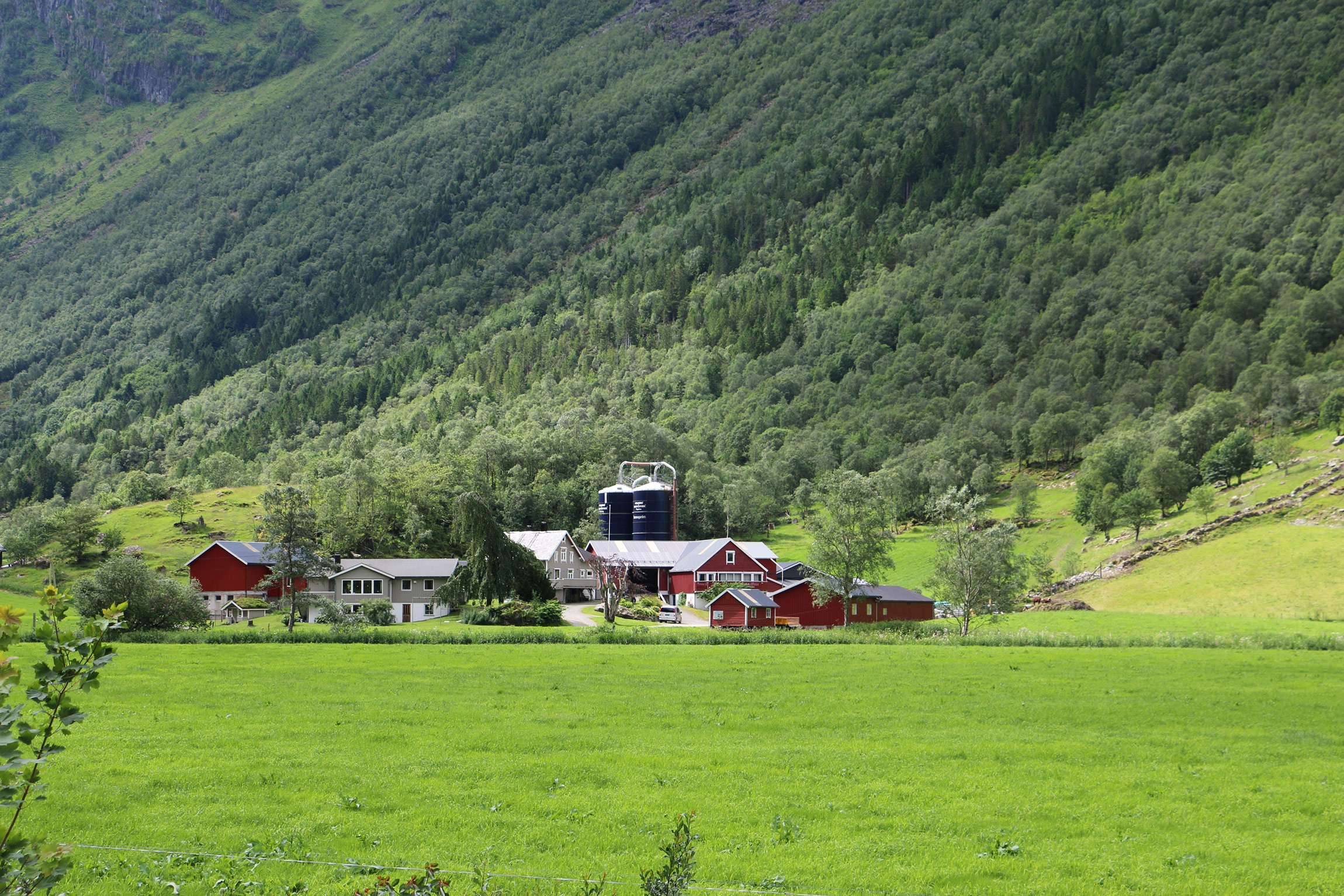 Ei gard med fleire bygningar.