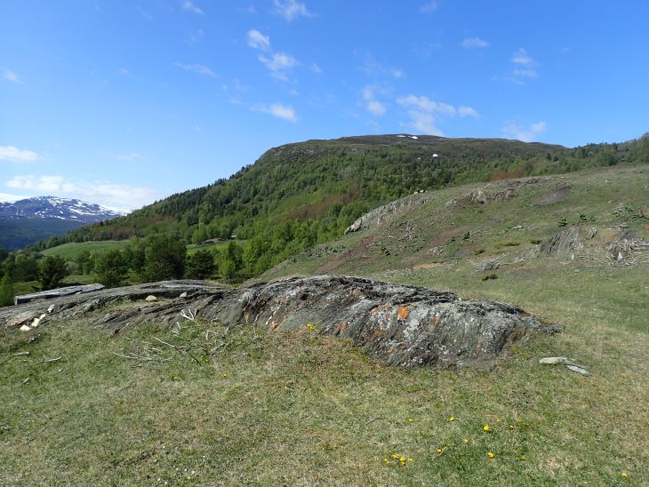 Lanskapsfoto