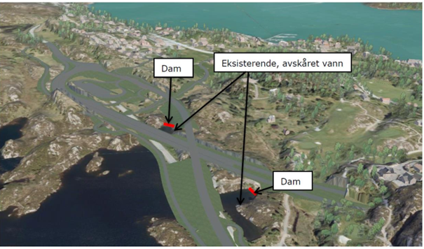 Dammar på austsida av Storavatnet Dammar på austsida av Storavatnet