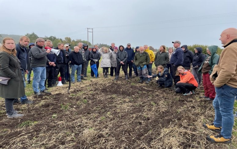 Forskere, rådgiver og bønder på markvandring om jordliv og bygging av humus på Sørli gård i Skjeberg 