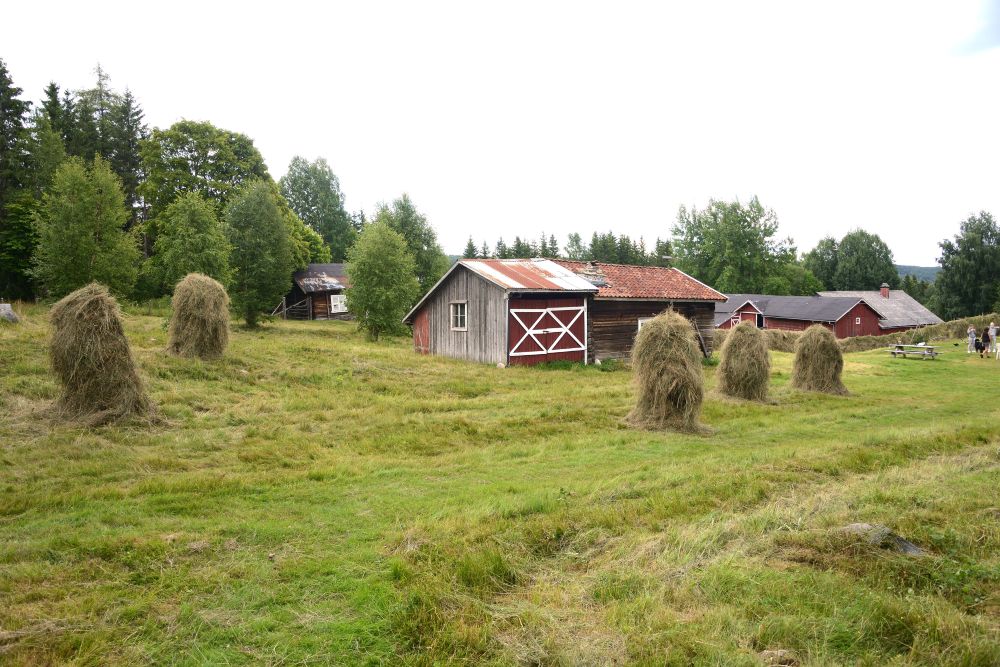 Gjennomført slått av slåttmark