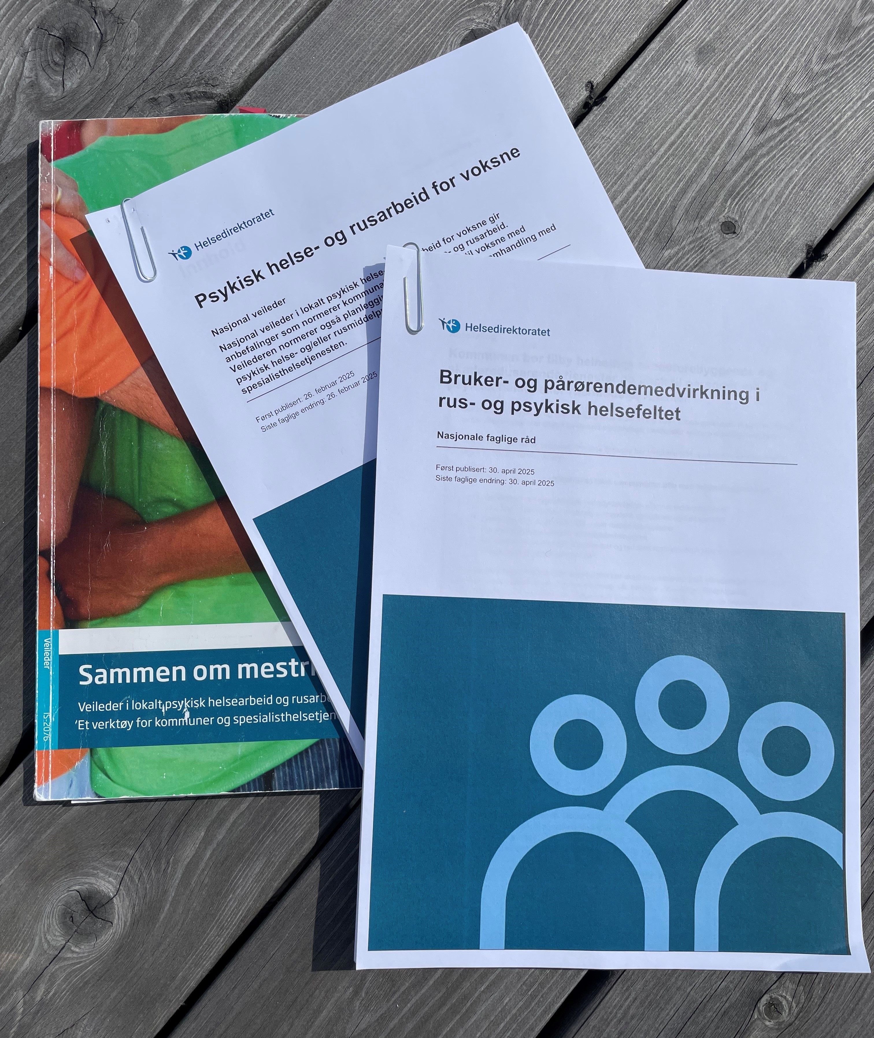 Bildet viser veiledere for psykisk helse- og rusarbeid og nye faglige råd for bruker- og pårørendemedvirkning