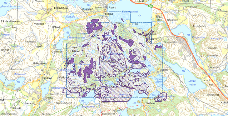 Fig B. Eit døme frå kartlegginga i 2018; berre utvalde naturtypar vert registrert, men heile areal innanfor områdeomrisset har vore undersøkt til fots. Dei mørkelilla figurane er dei naturtypeareala med svært høg kvaliteten.