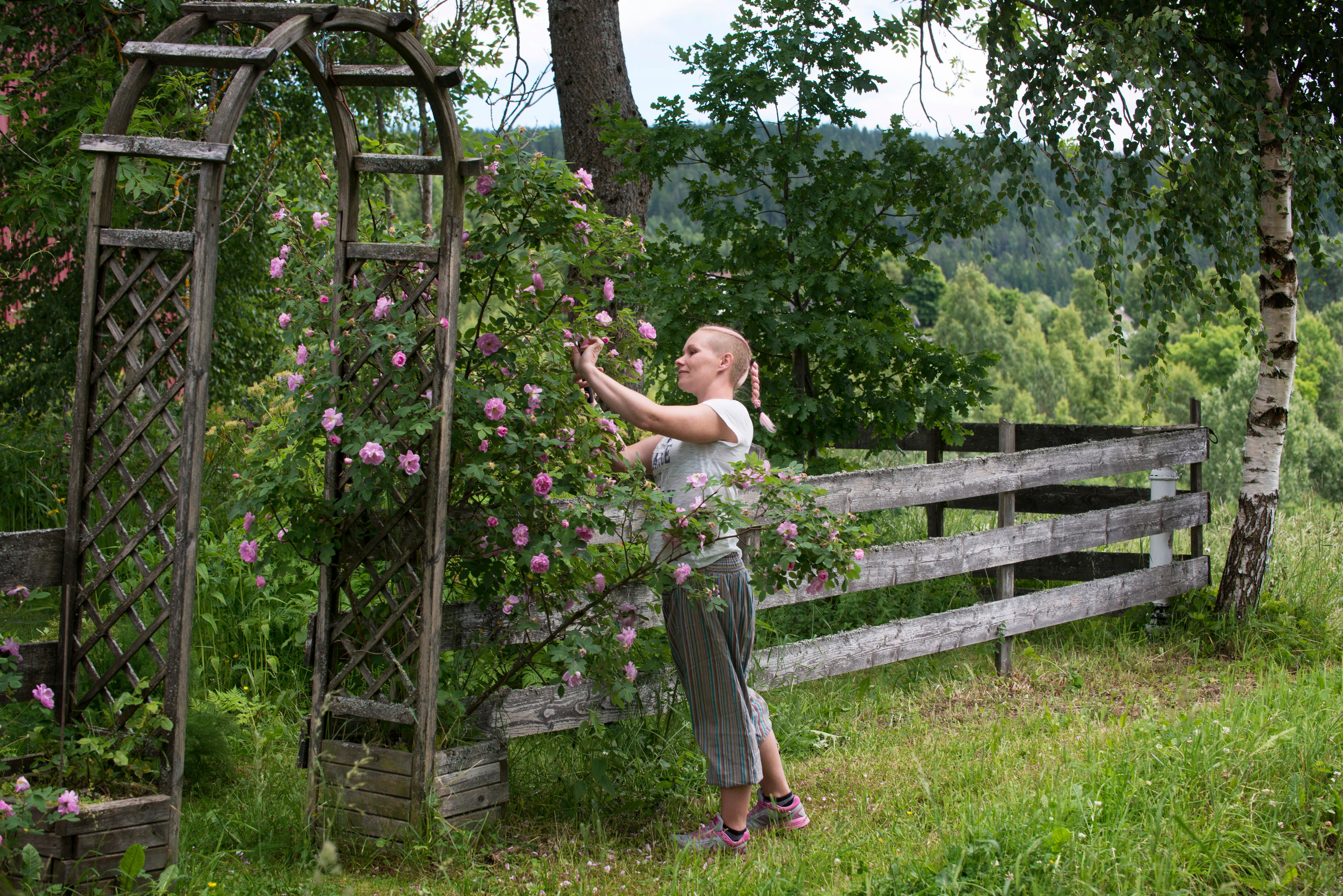 Aktivitetene på en Inn på tunet-gård er mange og kan tilpasset den enkelte. Foto: Statsforvalteren. Jente steller i hage