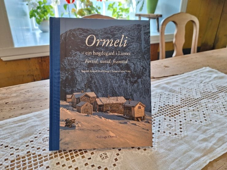 Bilde av boka om Ormeli