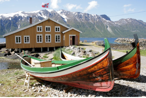 Beskrivelse