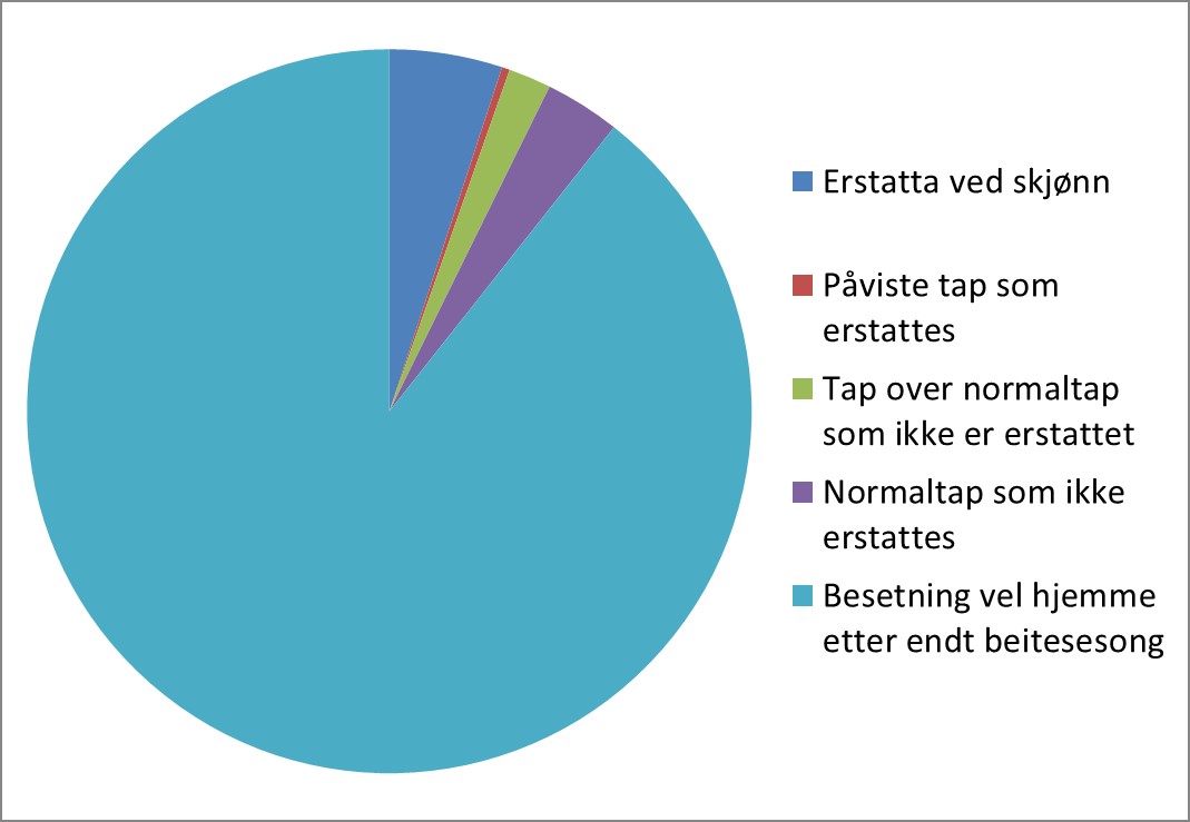 Hva som skjedde med sauene i besetninger som har søkt om rovvilterstatning for beitesesongen 2019