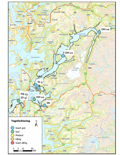 Kart over Hardangerfjorden med punkter som viser med tilstand for Planktonalger