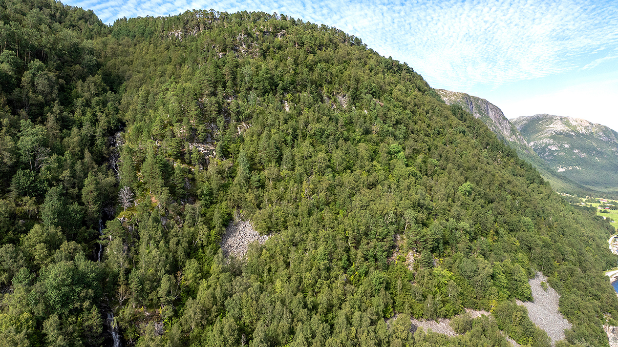 Lia oppom Aursundvegen.