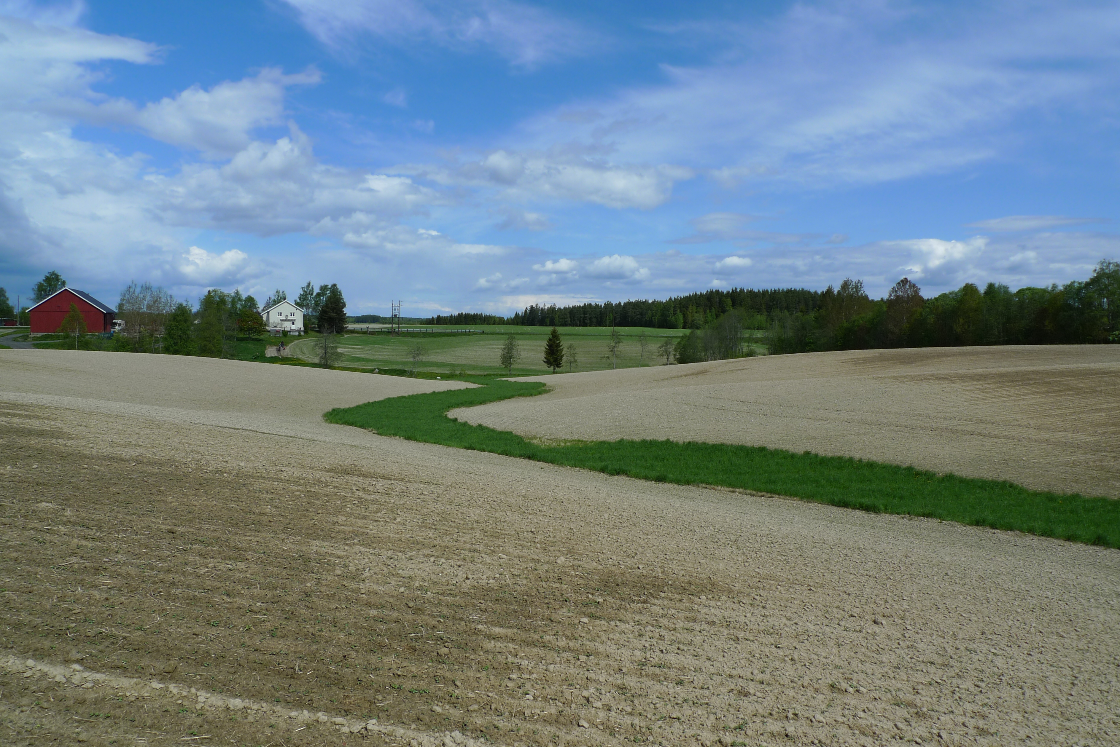 Grasdekt vannvei i åker. Foto: Statsforvalteren i Østfold, Buskerud, Oslo og Akershus/Svein Skøien.