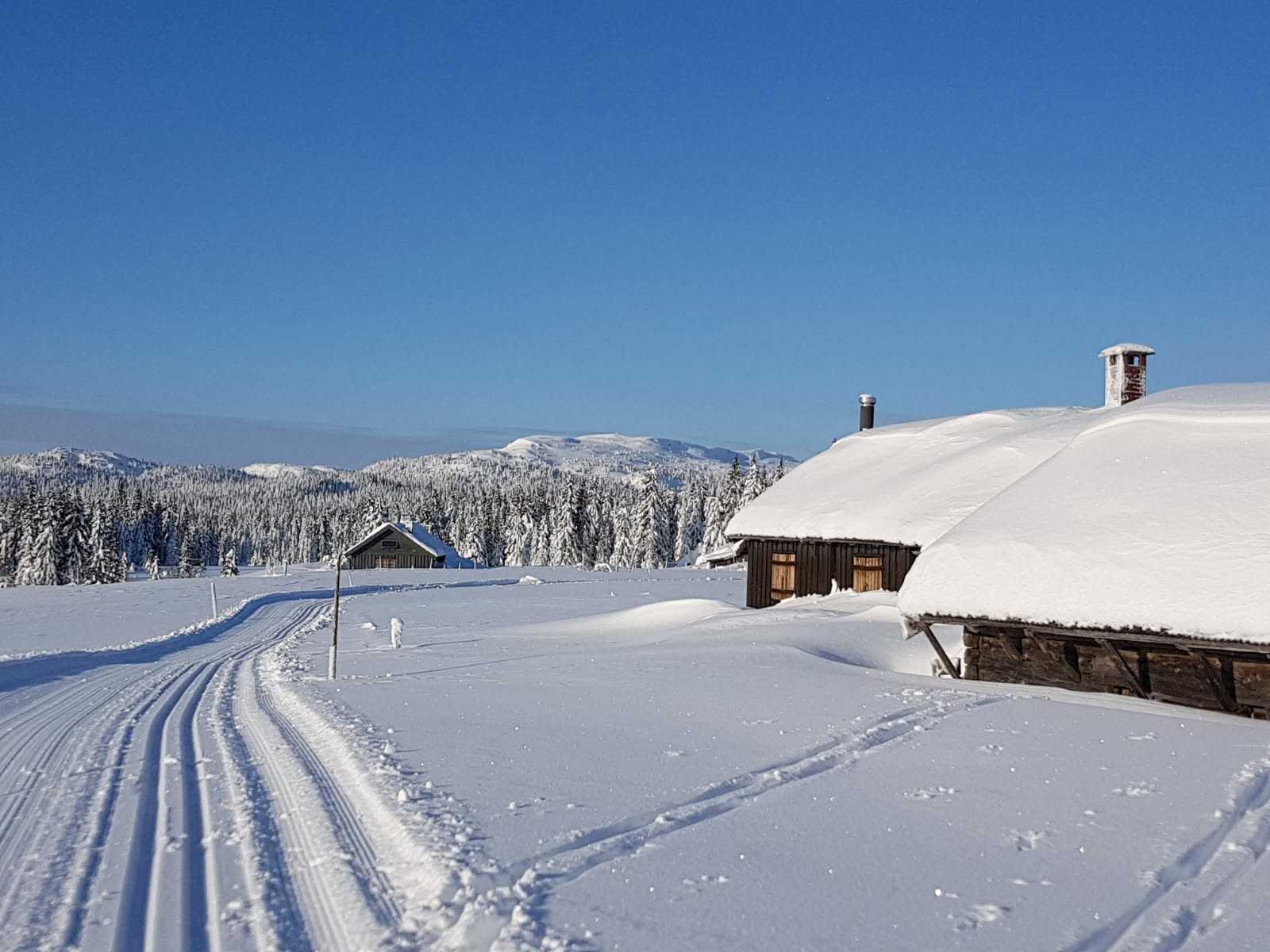 Skispor forbi ei seter med skog og fjelltopp i bakgrunnen