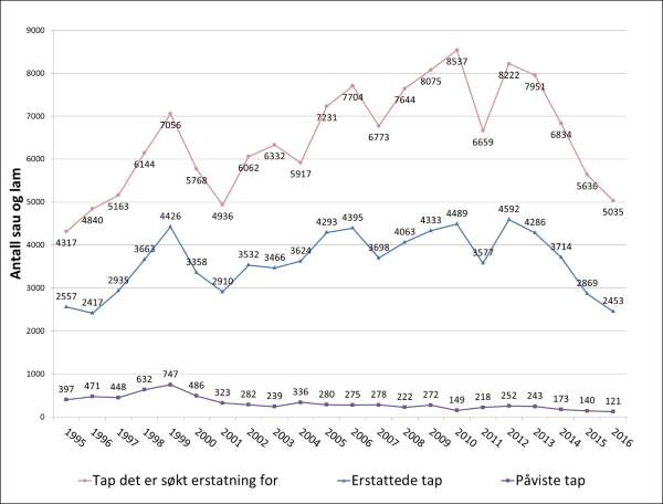 Oversikt over omsøkt tap av sau og lam for perioden 1995 - 2016, sammenlignet med antallet det ble utbetalt erstatning for og antallet som ble dokumentert tatt av rovdyr.