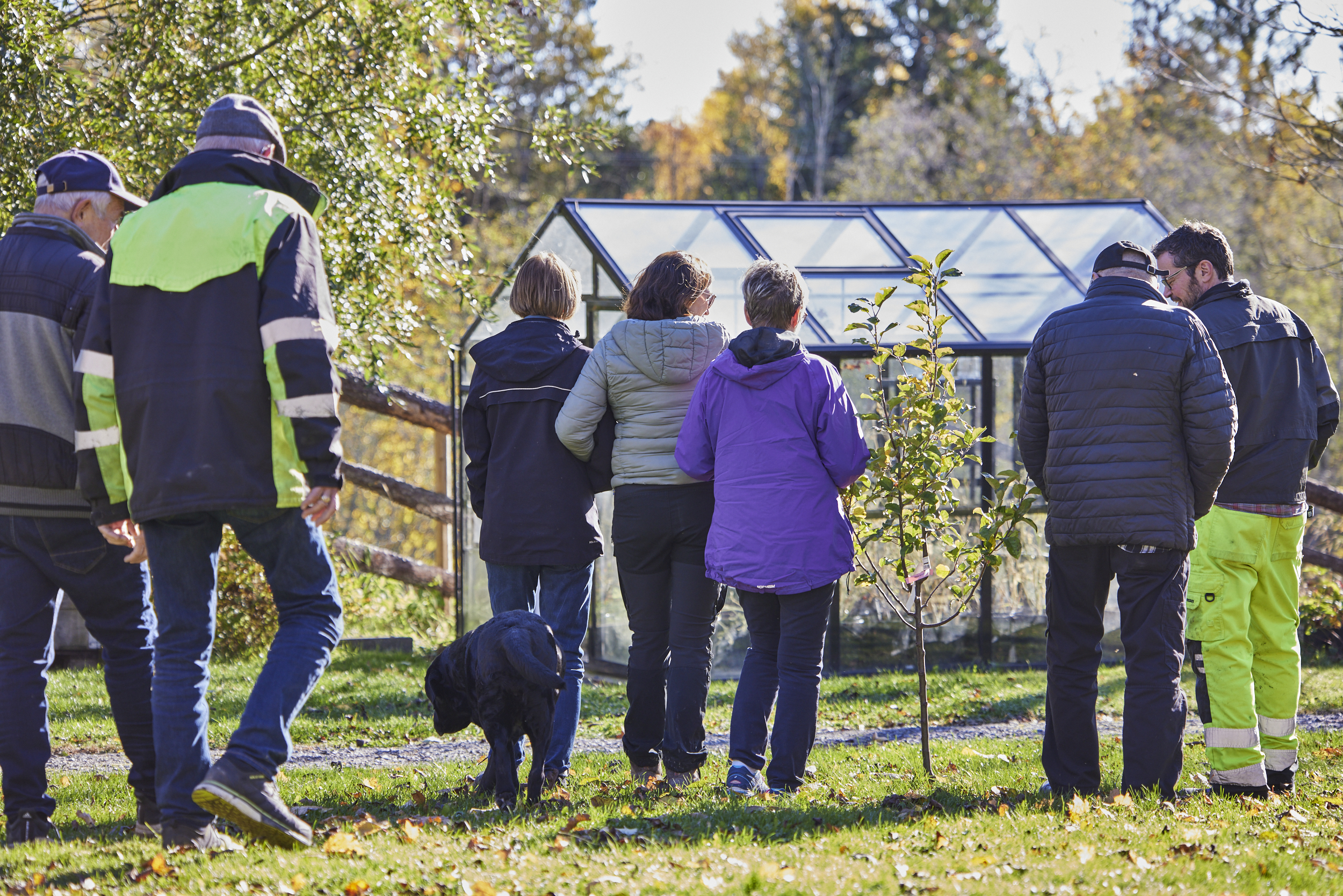 Inn på tunet for personer med demens på Bredeg gård i Trøgstad, Indre Østfold