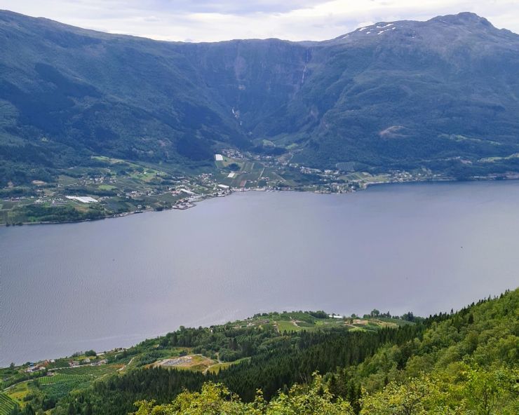 Bratte fruktlier langs sørfjorden med fjell i bakgrunnen