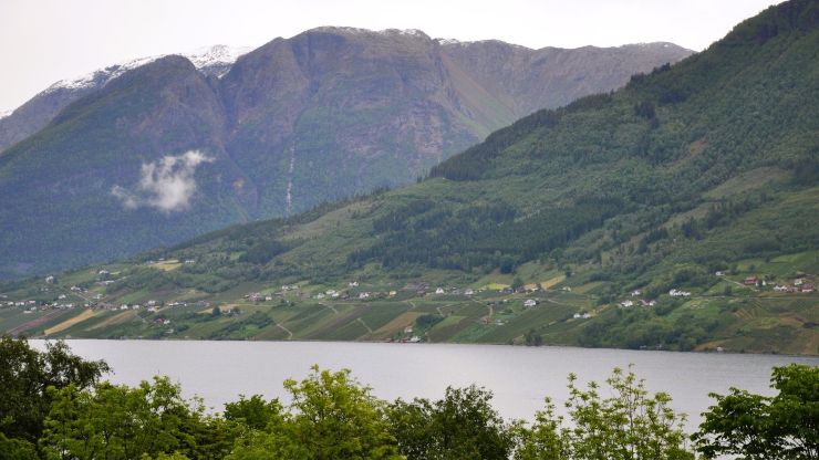 Landskapsbilde med fruktbygd langs Sørfjorden