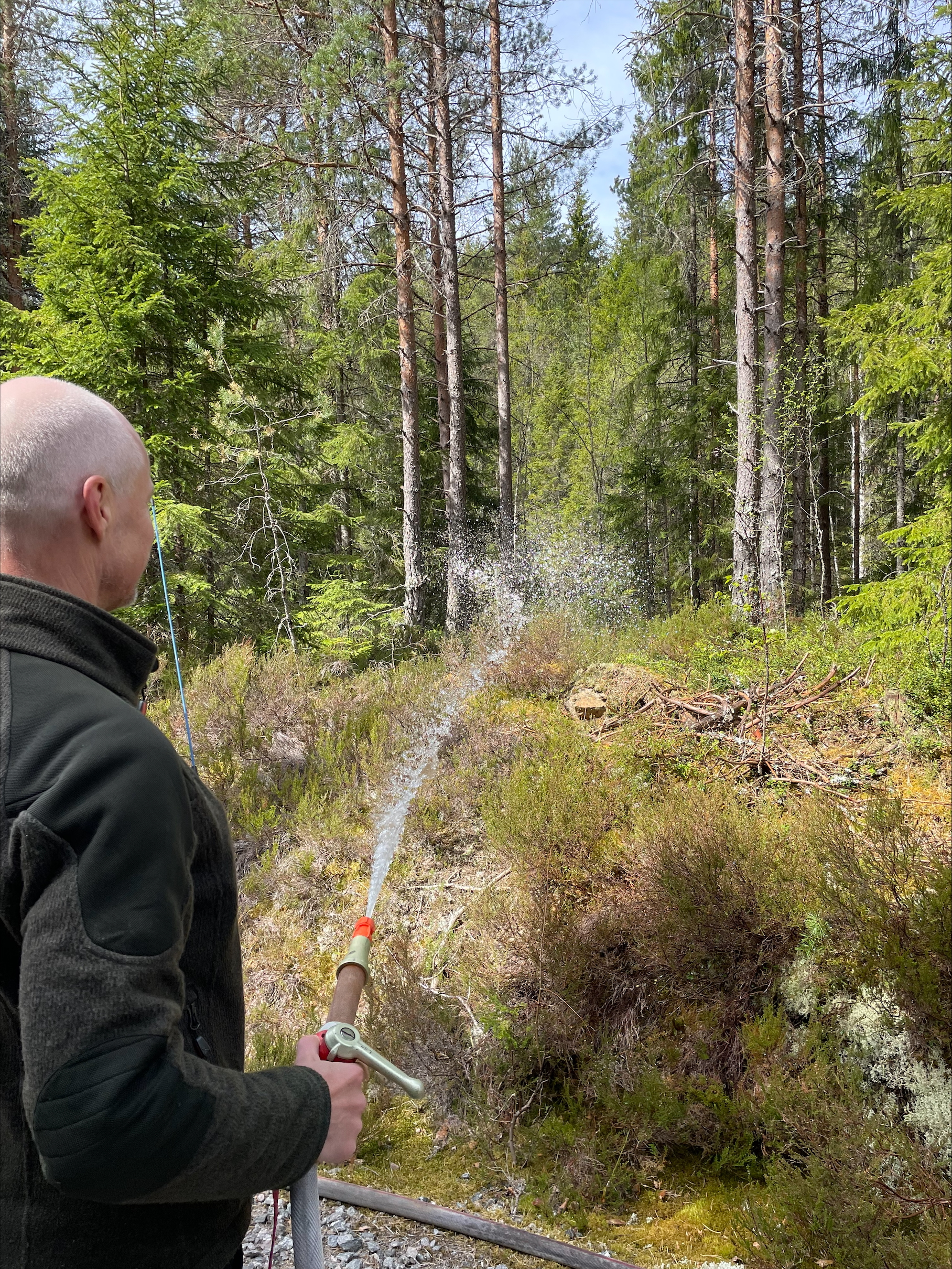 Vi er i gang med å gjøre brenningsområdet trygt, ved å vanne skogen rundt. Foto: Kristin Lugg / Statsforvalteren i Østfold, Buskerud, Oslo og Akershus.. Mann vanner i skogen.