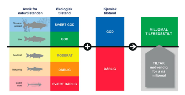 Bilete av dei ulike tilstandsklassande for vassførekomster