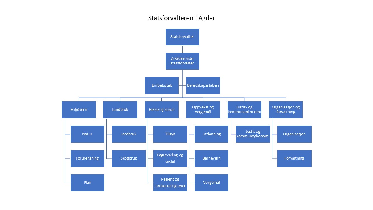 Organisasjonskartet viser at embetet ledes av en statsforvalter, og med en assisterende statsforvalter. Videre er embetet organisert i en embetsstab, en beredskapsstab, og seks avdelinger med tilhørende seksjoner. Disse avdelingene er 1. miljøvernavdelingen med seksjonene natur, forurensning og plan, 2. landbruksavdelingen med seksjonene jordbruk og skogbruk, 3. helse- og sosialavdelingen med seksjonene tilsyn, fagutvikling og sosial og pasient- og brukerrettigheter, 4. oppvekst- og vergemålsavdelingen med seksjonene utdanning, barnevern og vergemål, 5. justis- og kommuneøkonomiavdelingen med seksjonen justis og kommuneøkonomi og 6. organisasjons- og forvaltningsavdelingen med seksjonene organisasjon og forvaltning.