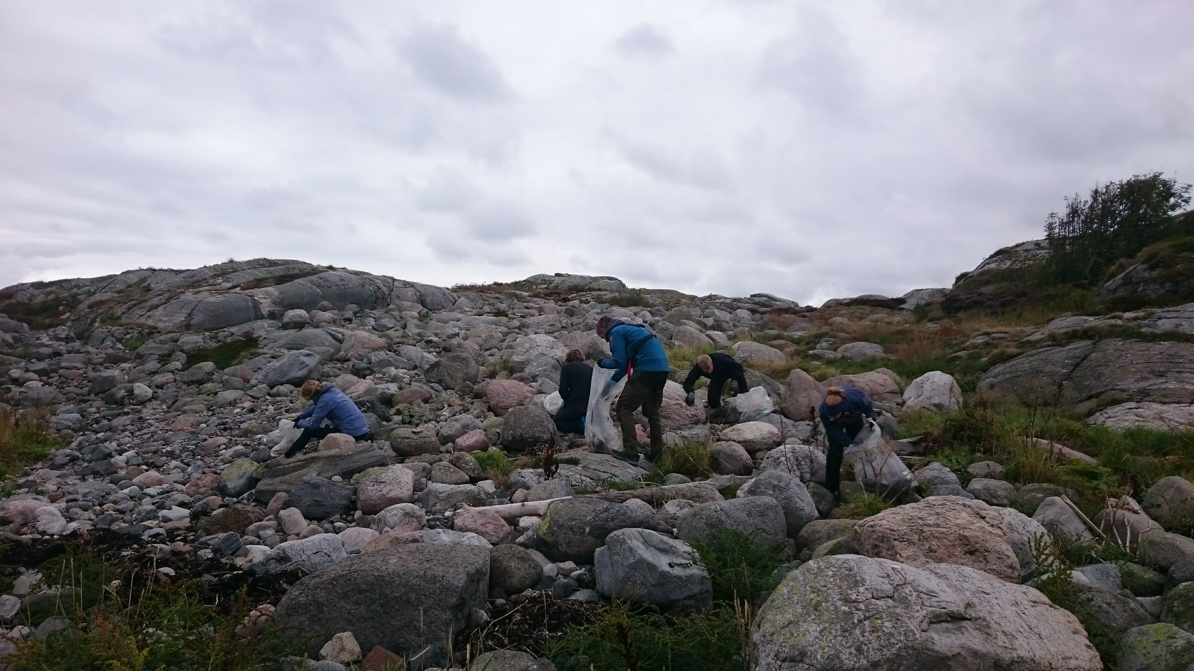 Miljøvernavdelingen rydder strandsøppel på Grønningholmene i Lillesands skjærgård.