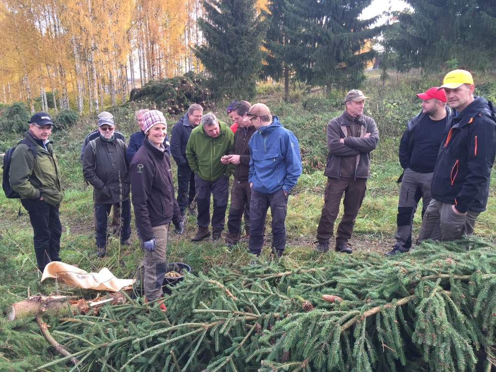 Skogoppsynslaget på fagdag på Sanderud frøplantasje høsten 2015.