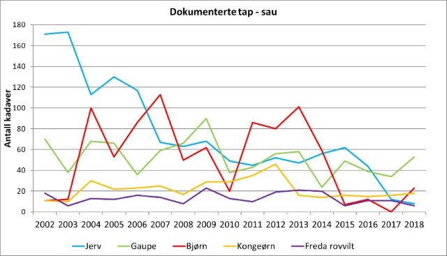 Kadaver av sau som er påvist drept av fredet rovvilt i perioden 2002-2018