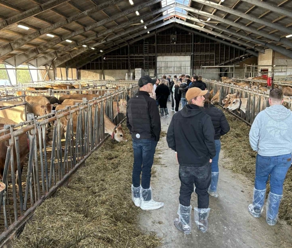 Jæren young cowboys på gardsbesøk.