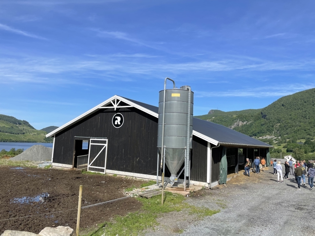 Mjølkefjøs hos Ryfylke gardsysteri.