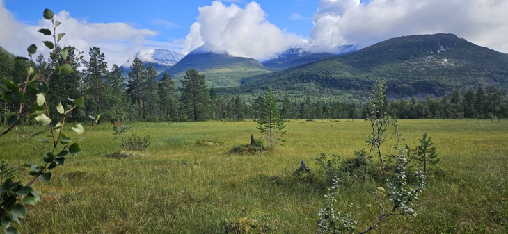 Slåttemyra kalt Neset ved Fjellfrøsvatnet i Balsfjord kommune. Landskapsbilde med fjell, skyfri himmel, enkelte furutrær, skog- og myrlandskap. 