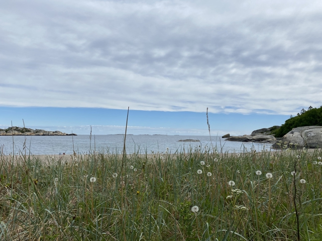 Oslofjorden. Foto: Ailin Gundersen