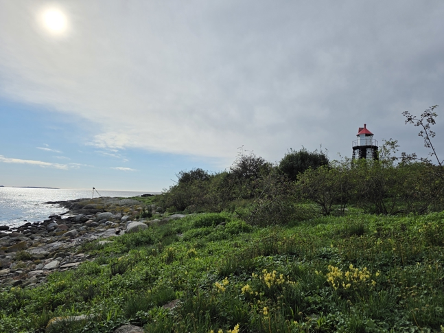 Østenskjær. Fotograf: Statsforvalteren i Vestfold og Telemark