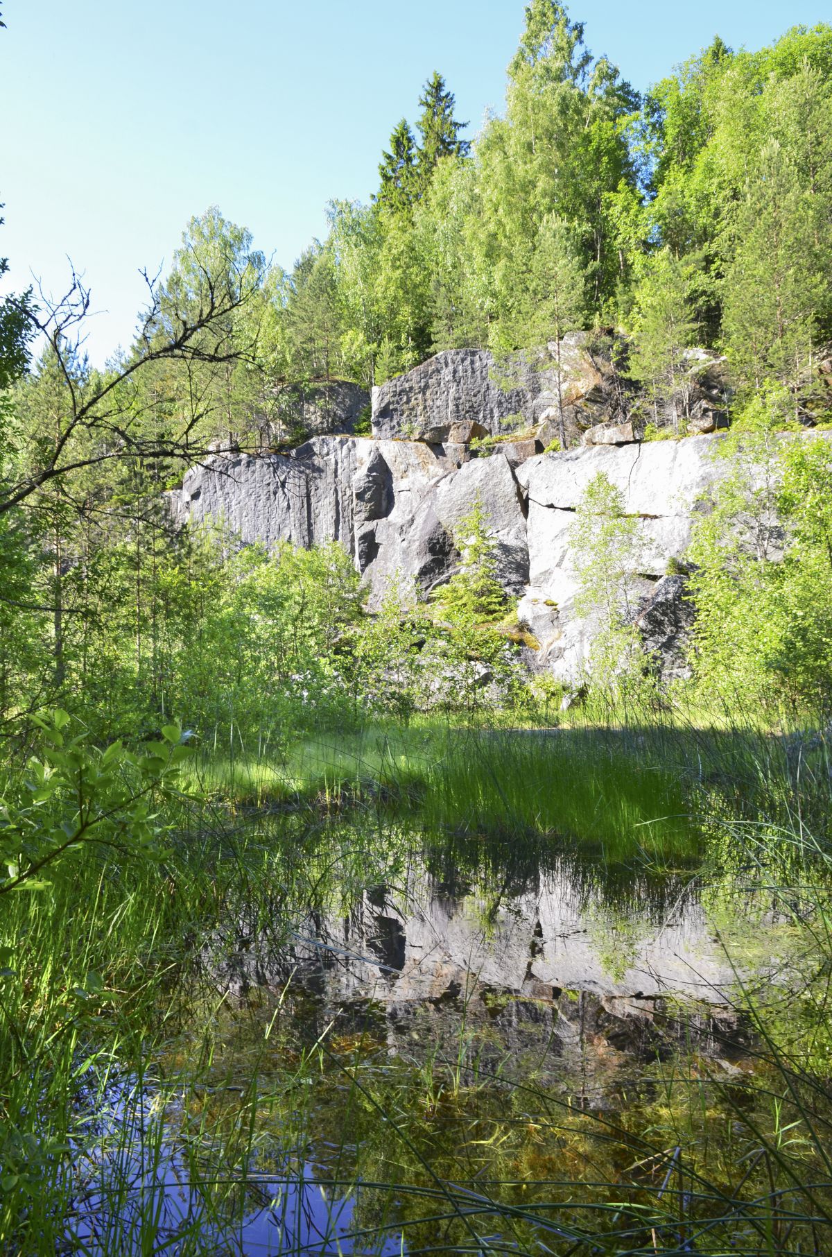 Denne dammen er et av de få amfibiereservatene i Vestfold. Foto: Birgit Brosø. Denne dammen er et av de få amfibiereservatene i Vestfold.