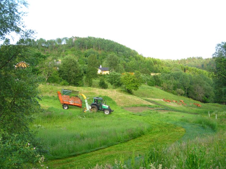 Slått med traktor i eit småskala landskap