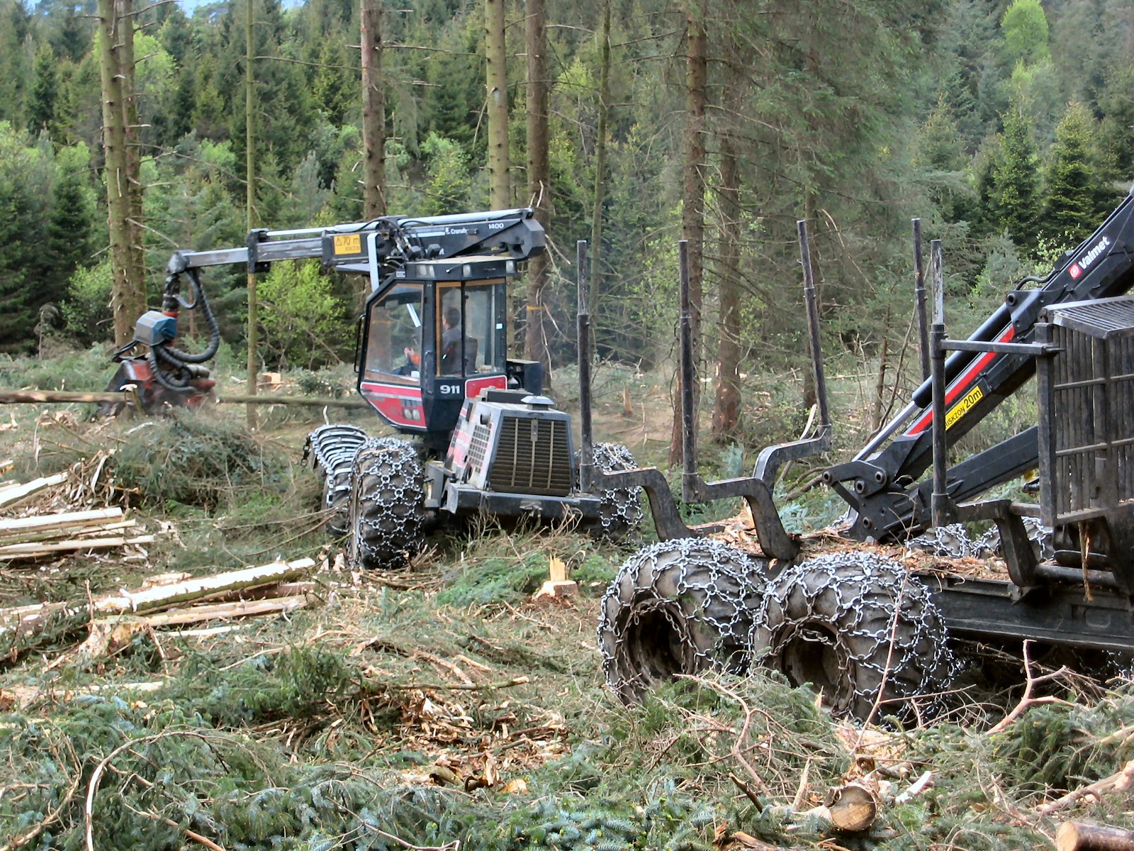 Hogst på Stord, foto: Dirk Kohlmann, SFVL