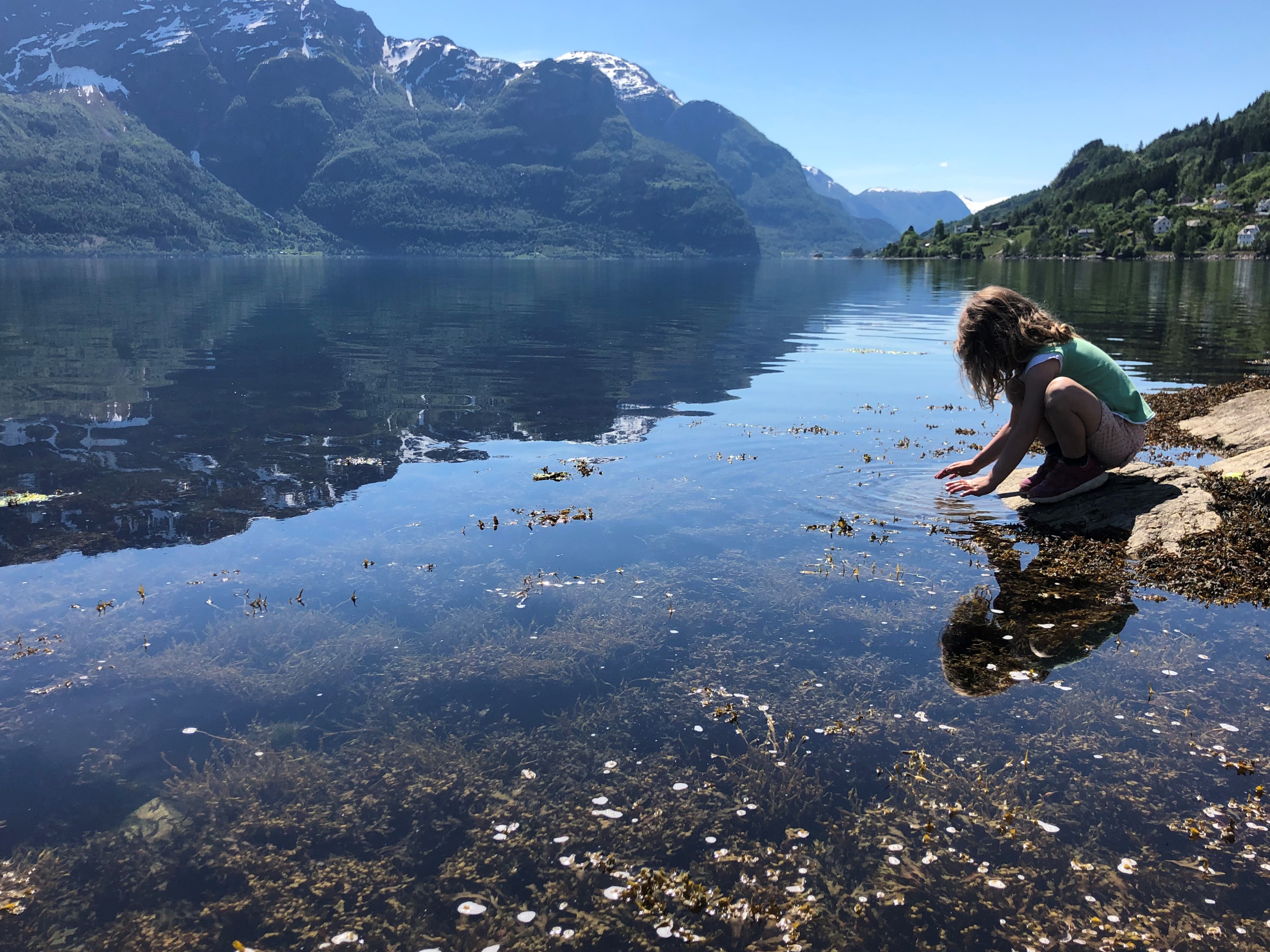 eit barn leiker ved fjordkanten med tang i overflata og blå himmel