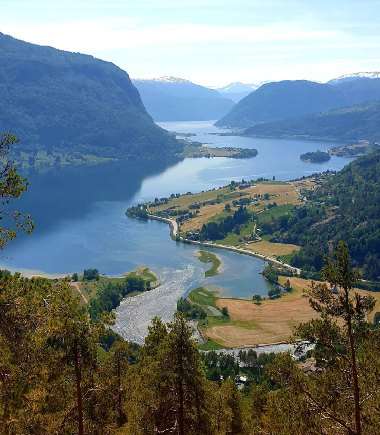 Utsyn frå ei høgde ned på eit delta med skog om kring i eit fjordlandskap