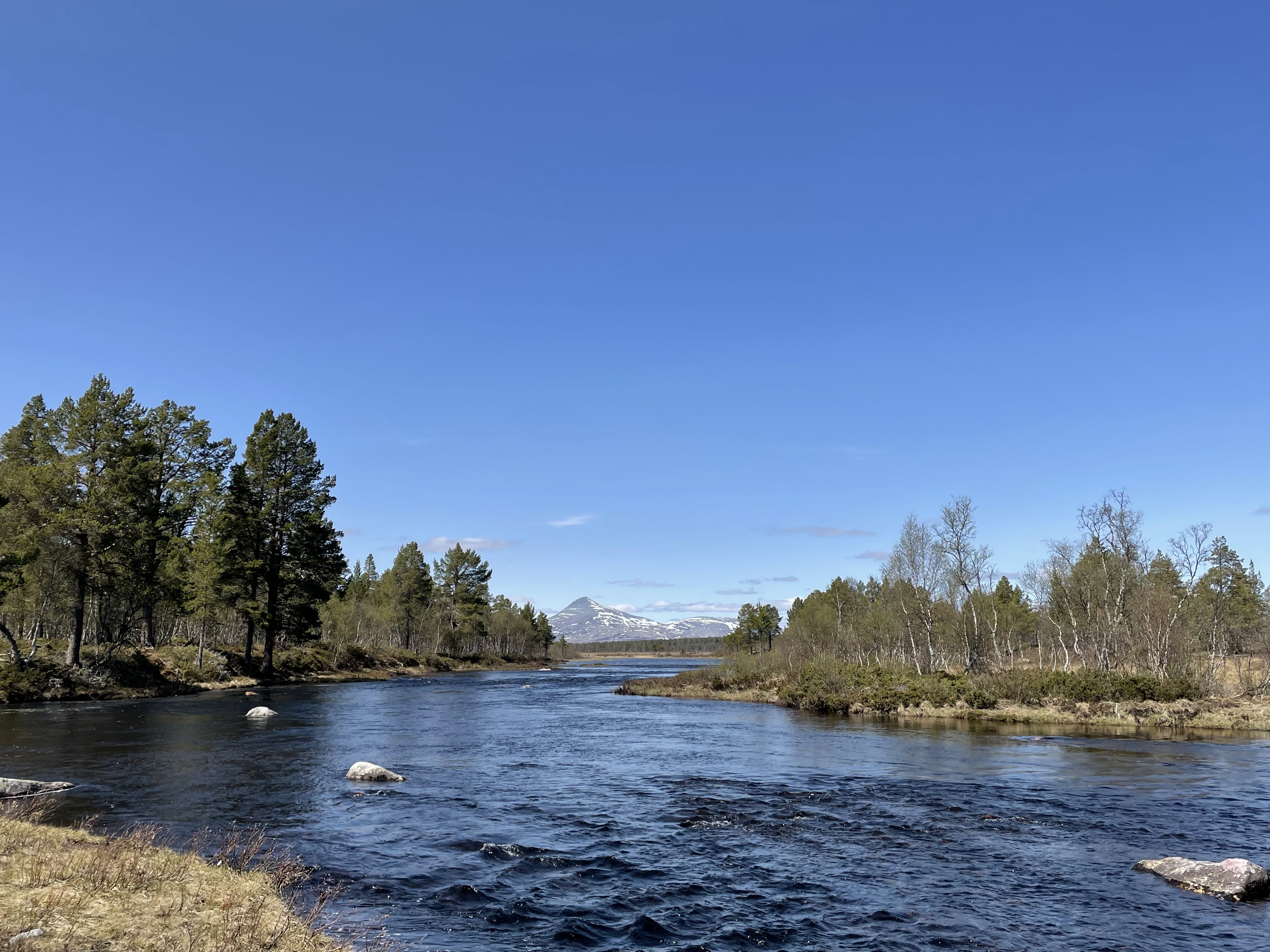 Natur med skog og elv.