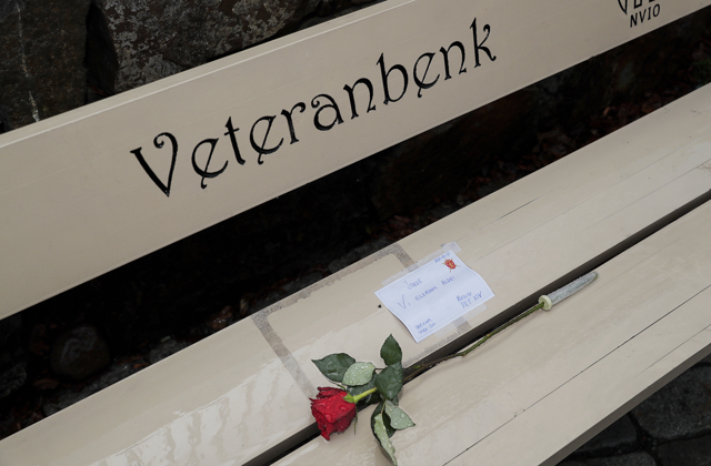 Bilde av en hvit benk som det står veteranbenk på. På benken ligger en rød rose