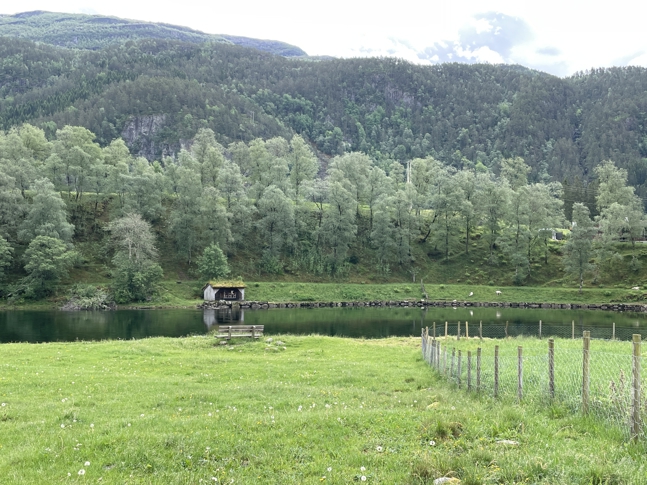 Beitedyr, fiske og friluftsliv ved Suldalslågen.