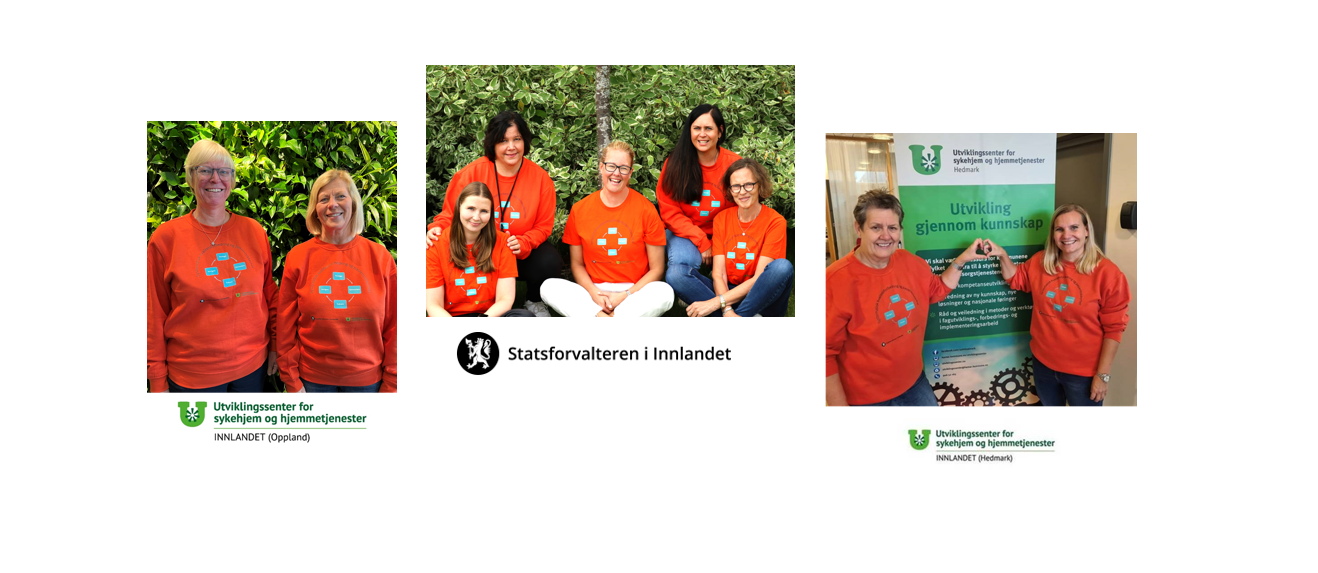 Sammensatt bilde som viser tre foto av damene som er med i arbeidsgruppen