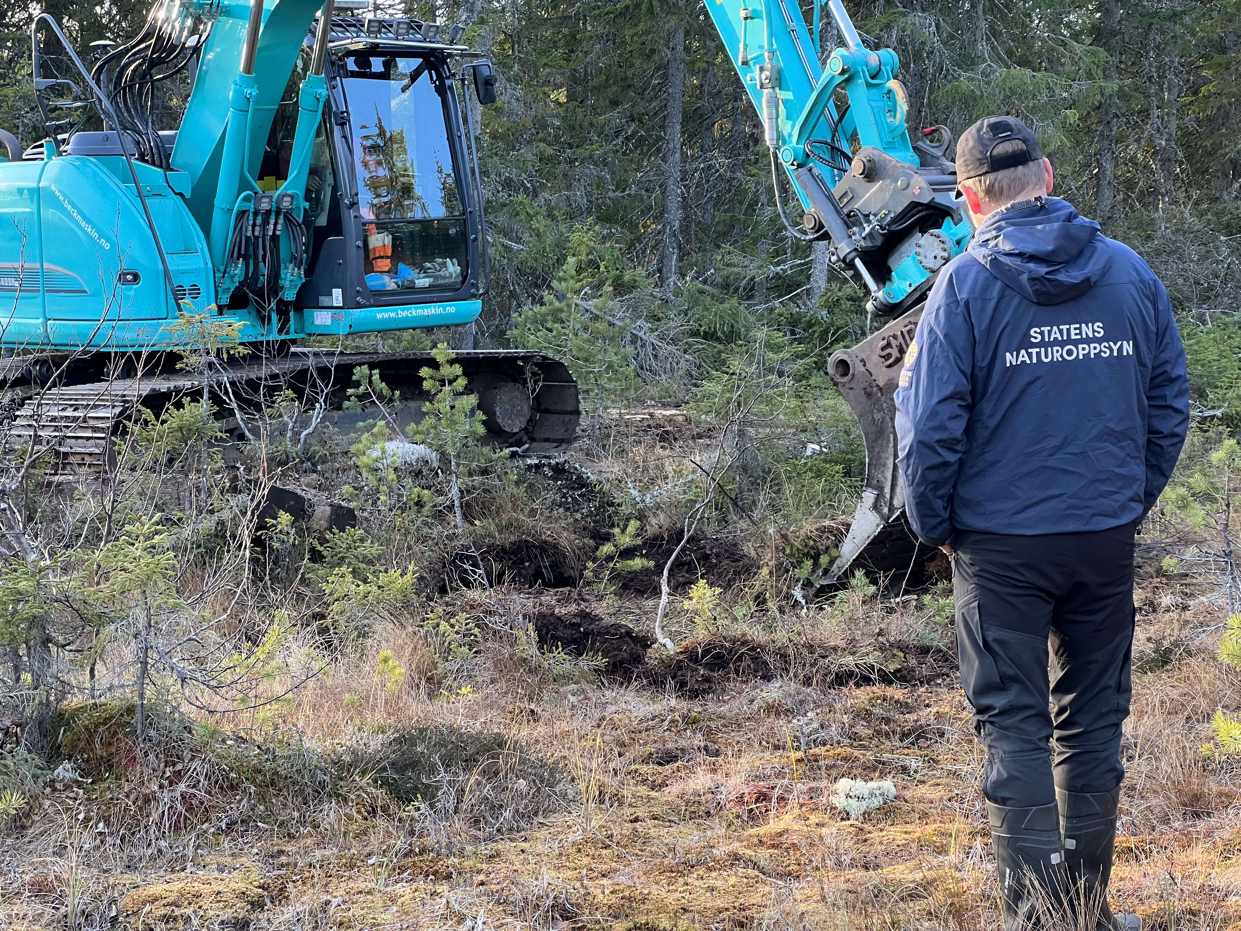 Gravemaskin som tetter grøfter i myr. Foto: Suzanne Wien.